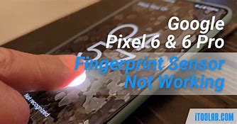 Image result for Google Pixel 6 Fingerprint Sensor