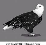 Image result for Black Eagle Drawing