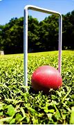 Image result for Crazy Wicket