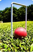 Image result for Pic of a Cricket Wicket