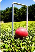 Image result for Spring Wicket