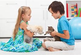 Image result for kids play with pet