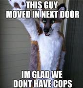 Image result for Protopan Furry Meme