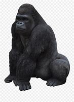 Image result for Gorilla Emoji No Background