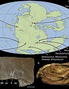 Image result for Earth 240 Million Years Ago