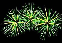 Image result for Animated Fireworks Animation