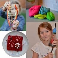 Image result for Human Body Science Experiments for Kids