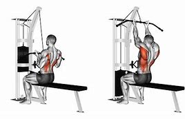 Image result for Narrow Grip Lat Pulldown