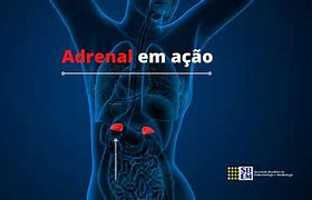Image result for adrenao