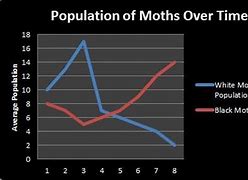 Image result for Peppered Moth Population Graph