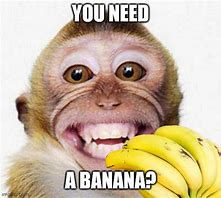 Image result for Funny Monkey Banana Meme