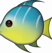 Image result for Fish Ocean iPhone Wallpaper