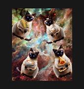 Image result for Taco Cat Galaxy