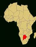 Image result for Botswana Cattle