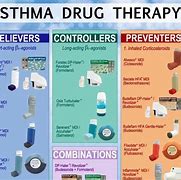 Image result for Common Inhalers for COPD