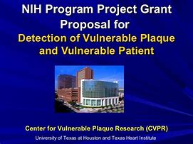 Image result for NIH Program Project Grant