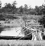 Image result for Survival Fishing Traps