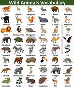 Image result for Wilod Animals