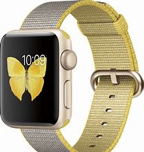 Image result for Apple Watch Series 2 38Mm Gold Back Case