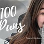 Image result for Top 100 Puns