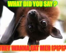 Image result for Smiling Bat Meme