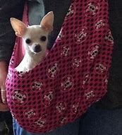 Image result for Teacup Chihuahua Carriers