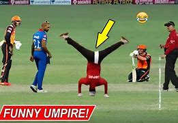 Image result for Funny Cricket Umpire