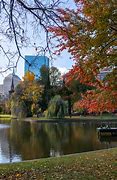 Image result for boston public gardens fall
