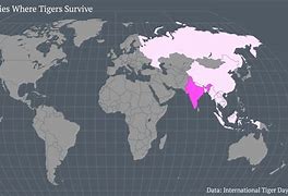 Image result for Tiger Habitat World Map