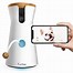 Image result for indoor cameras with treats dispensers
