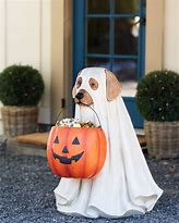 Image result for Halloween Dog Decor