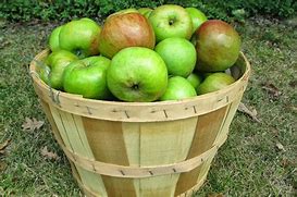 Image result for Yellow Apples Bushel