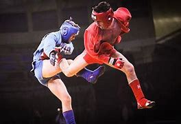 Image result for Sambo Fighting Style