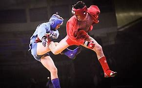 Image result for Sambo Champion