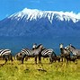 Image result for Tanzania Vacation