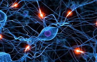 Image result for Brain Neurons Firing