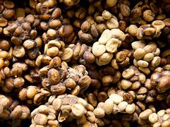 Image result for Most Expensive Coffee Beans