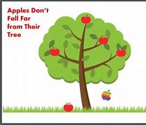 Image result for Evolution of Apple Tree