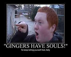 Image result for Ginger Cat Soul Meme