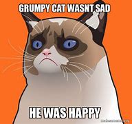 Image result for Tard the Grumpy Cat Meme