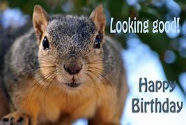 Image result for Happy Birthday Insults