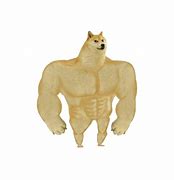 Image result for Strong Doge Then and Now Memes