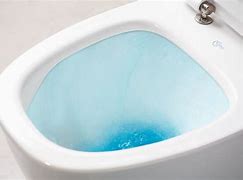 Image result for Ideal Standard Toilet Flush