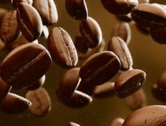 Image result for Best Arabica Coffee Brands