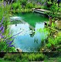 Image result for Do It Yourself Natural Pool