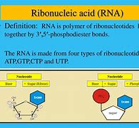 Image result for DNA vs RNA Sugar Structure