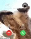 Image result for iPhone 5 FaceTime Layout