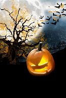 Image result for Halloween GIF for Phone