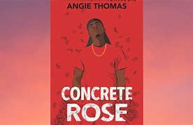 Image result for Angie Thomas Hate U Give the Book
