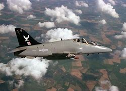 Image result for Pilot BAE Hawk